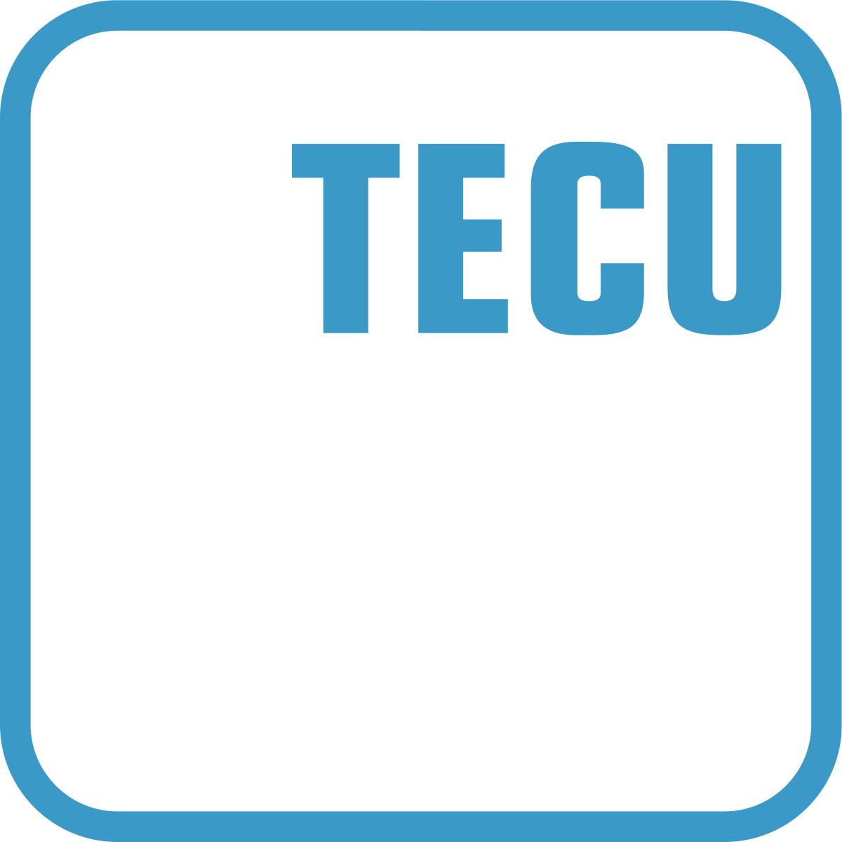 Icon TECU